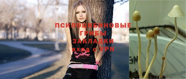 тгк Богородск