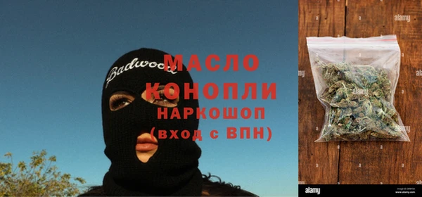 молекула духа Бородино