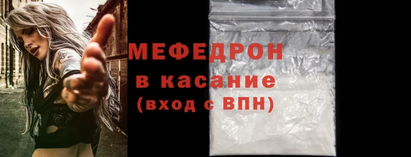 шишки Павловск