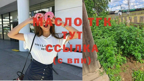 молекула духа Бородино