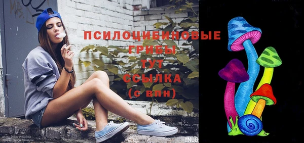 гидропоника Богданович