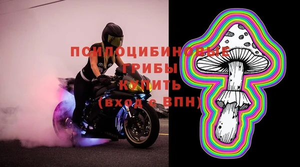 MDMA Богородицк