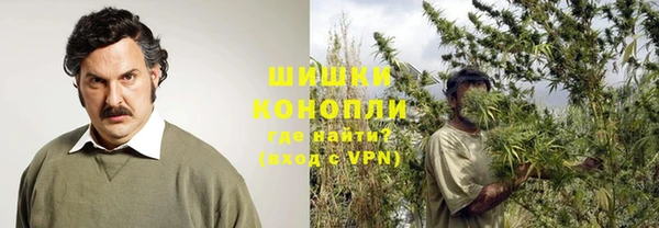 тгк Богородск